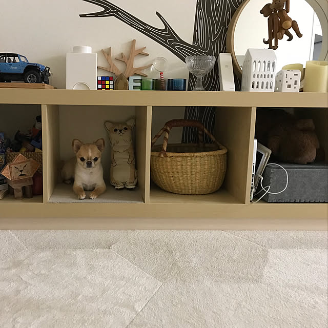 haruhinaさんの実例写真