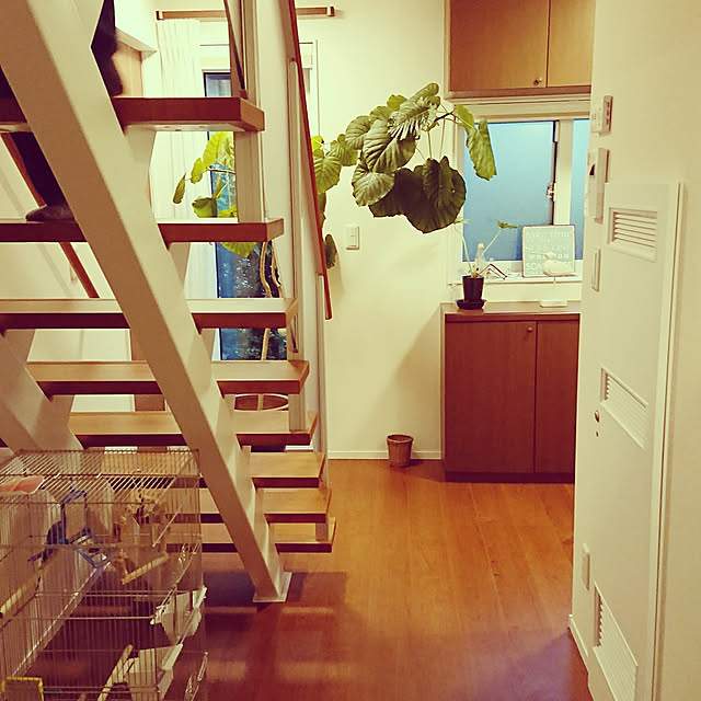 pocohomeさんの実例写真