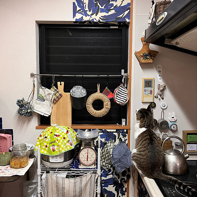 jijiさんの実例写真