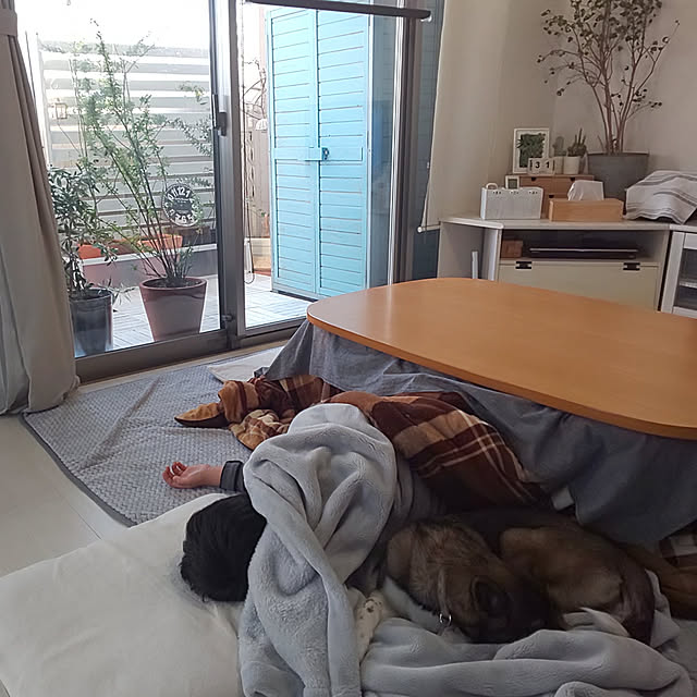 flannel.さんの実例写真