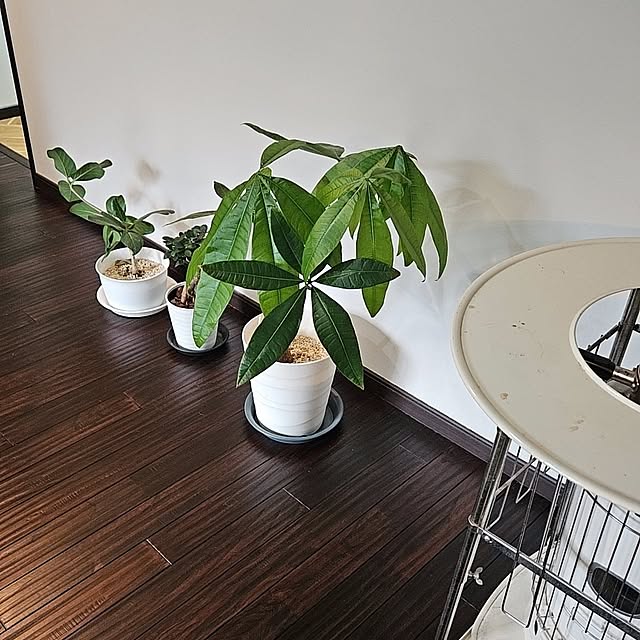 y0605m.sさんの部屋