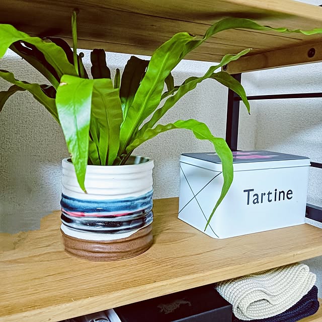 hanachanさんの部屋