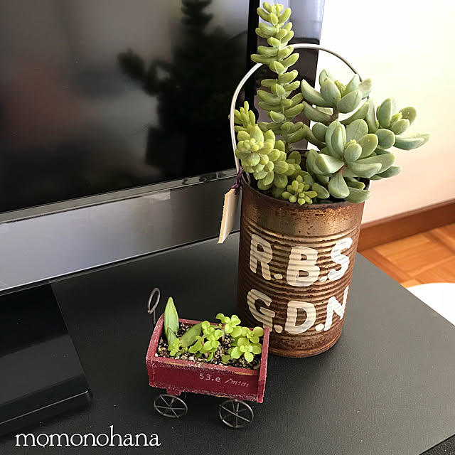 momonohanaさんの実例写真