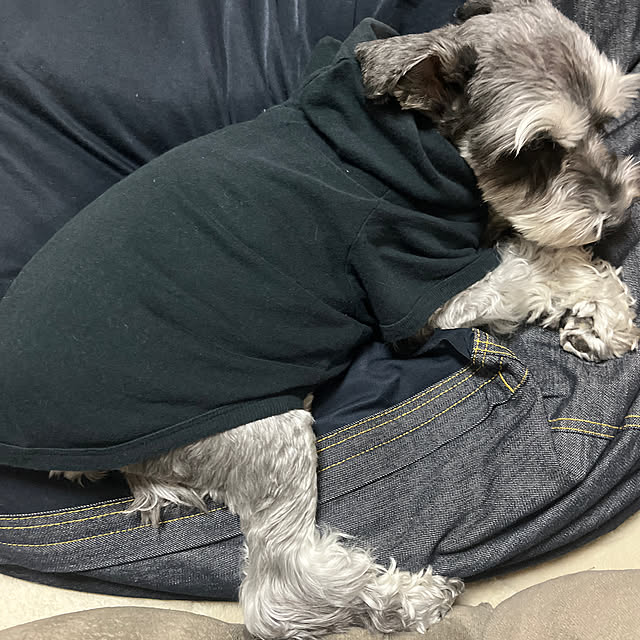 STARさんの実例写真