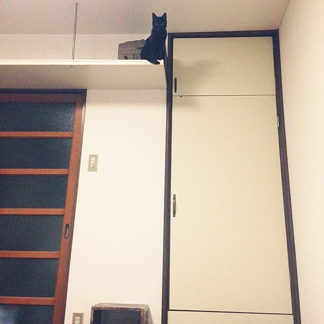 yuna3114さんの実例写真