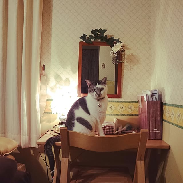 furlaさんの実例写真