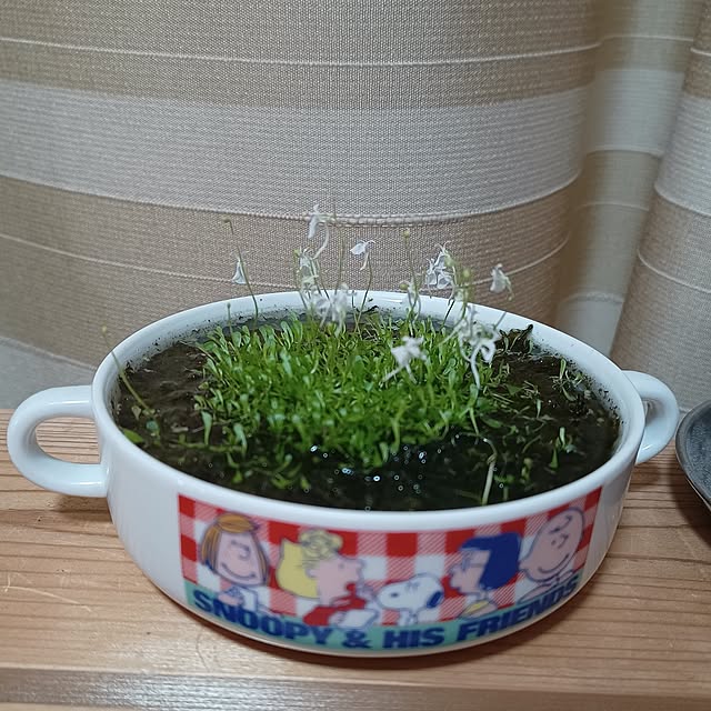 soyokoさんの部屋