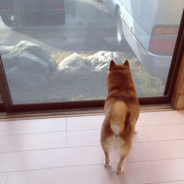 Hanaさんの実例写真