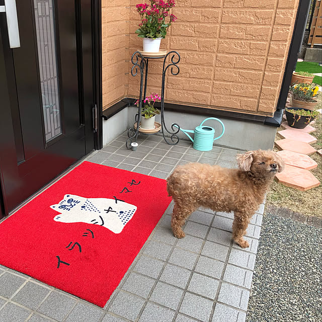 haruminさんの実例写真