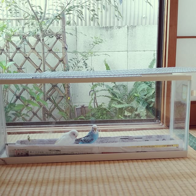 fruityanさんの実例写真