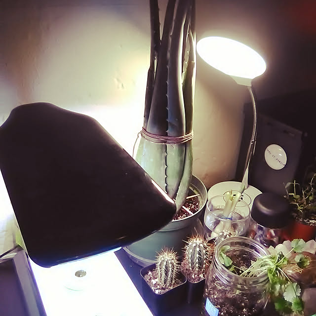 peace808さんの実例写真