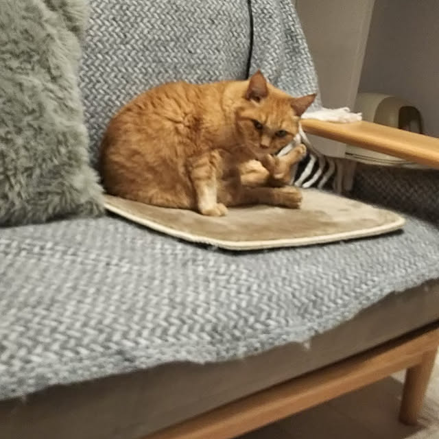 hanacocoさんの実例写真