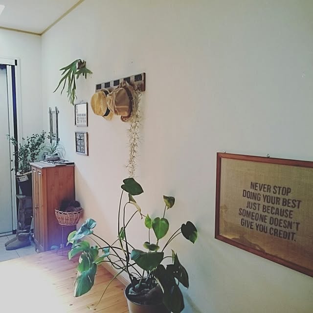 naoonさんの実例写真