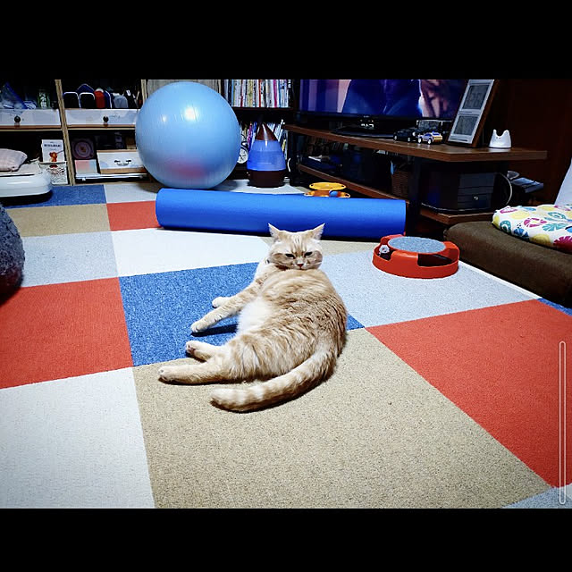 mntcさんの実例写真