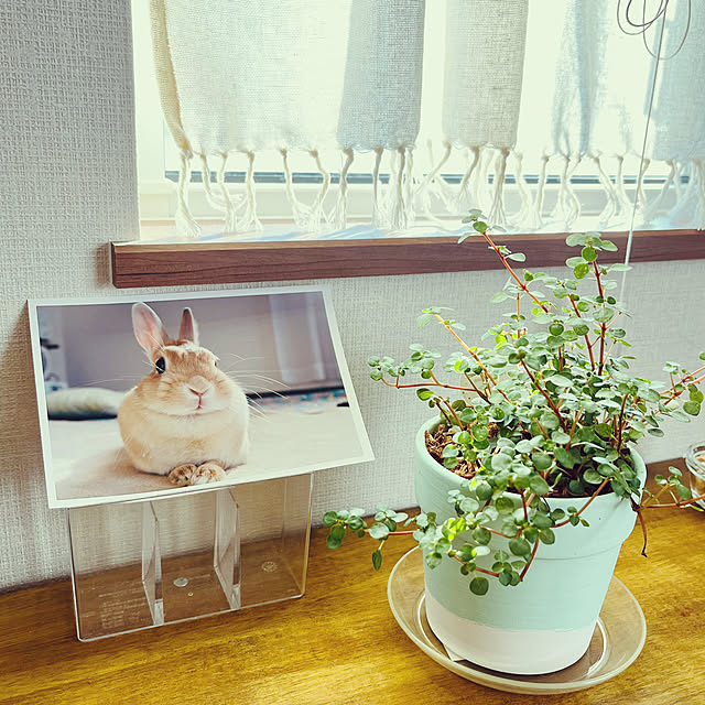 nako...さんの部屋