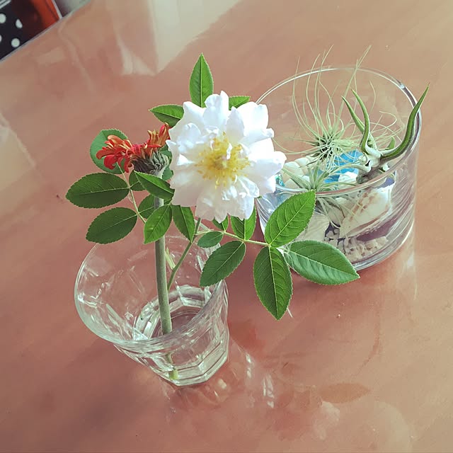 nomnom888さんの実例写真