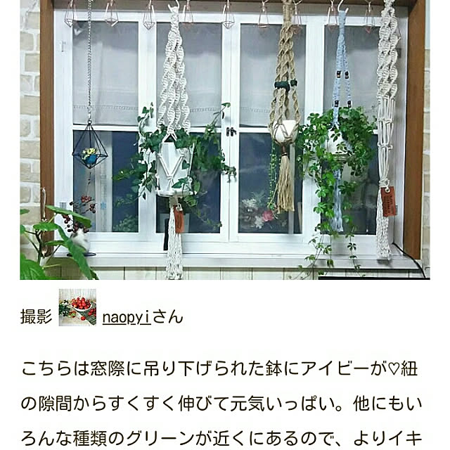 naopyiさんの実例写真