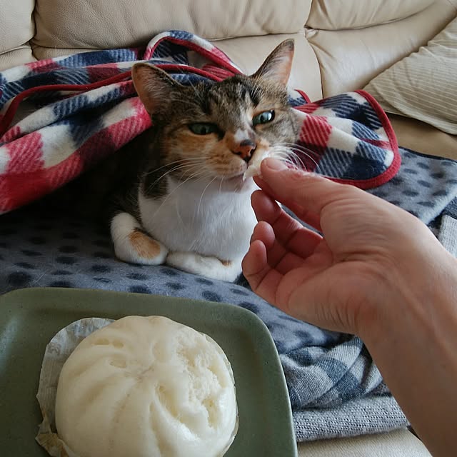 tomo1220さんの実例写真