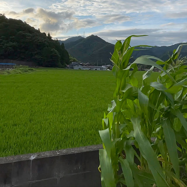 yuki.ism.124さんの実例写真