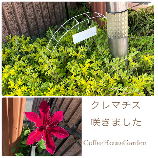 CoffeeHouseさんの実例写真