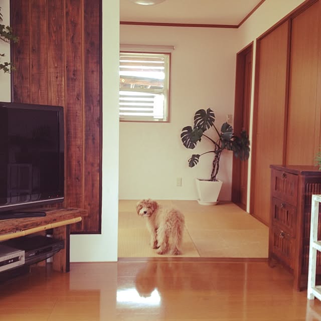 nao.0031さんの実例写真