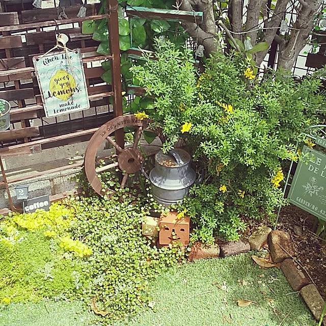 nico77さんの実例写真