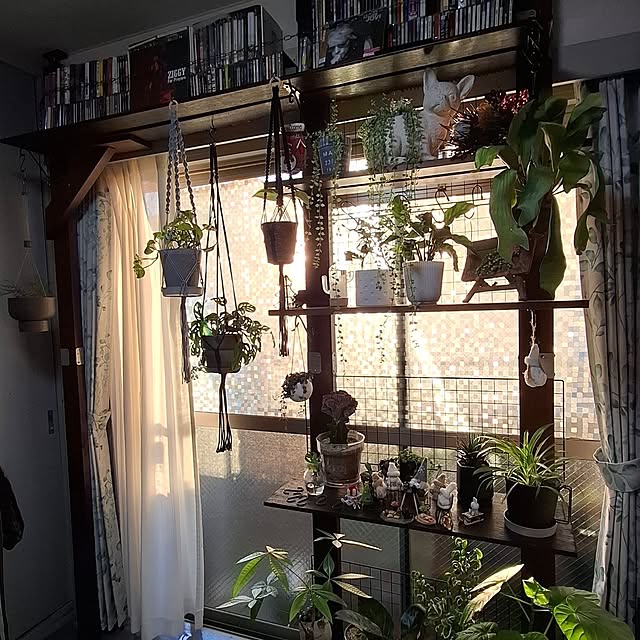 noaさんの部屋
