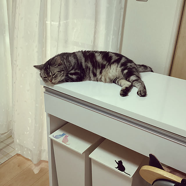 richanさんの実例写真