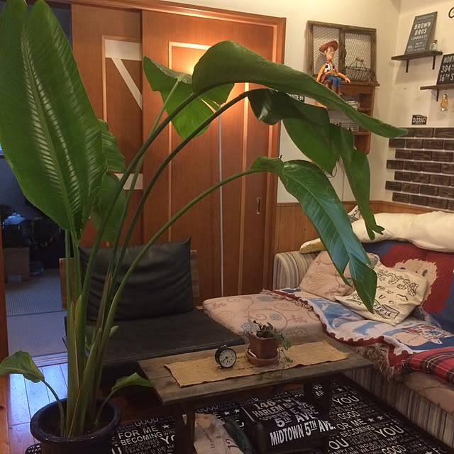 Makiさんの実例写真