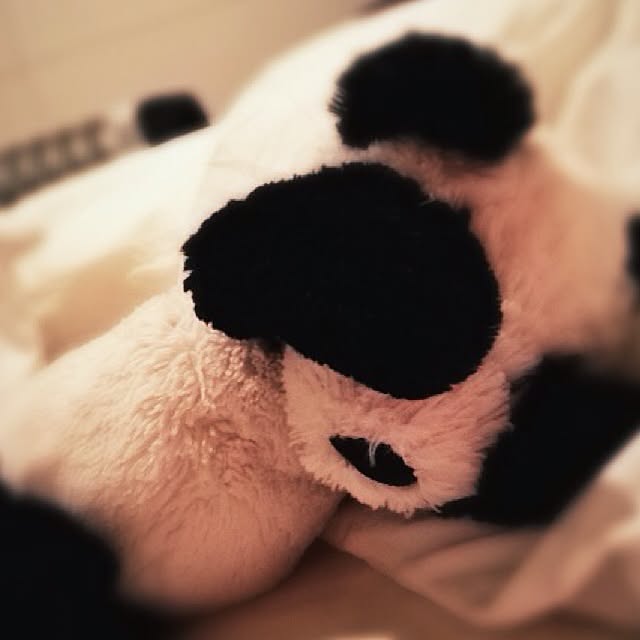 pandaさんの実例写真