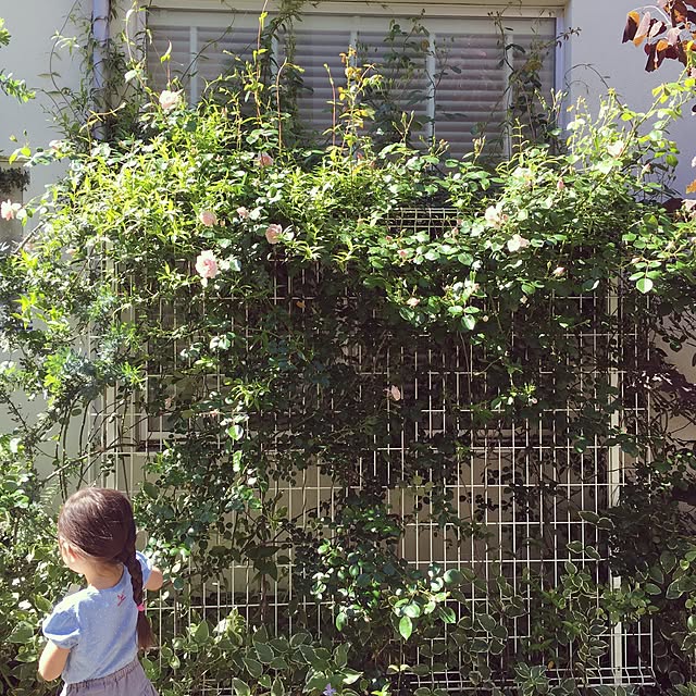 mamaintokyoさんの実例写真