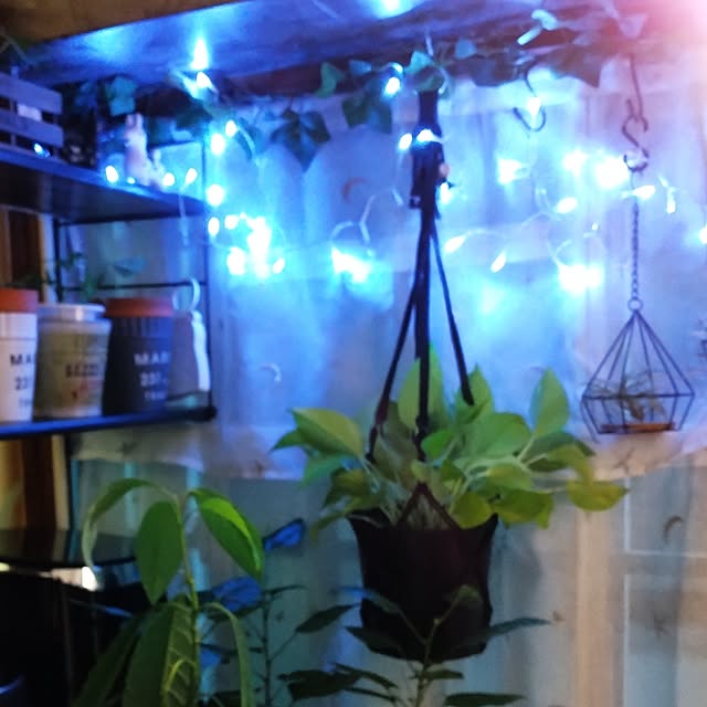 runaさんの部屋