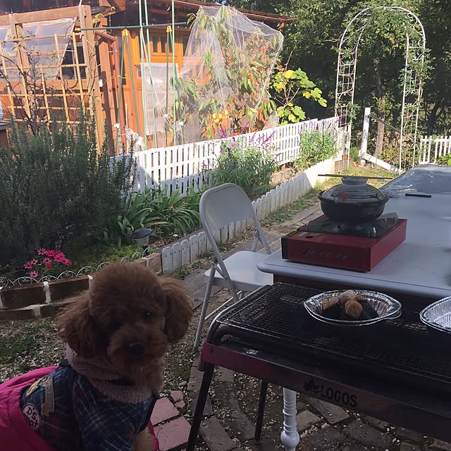 Naomiさんの実例写真