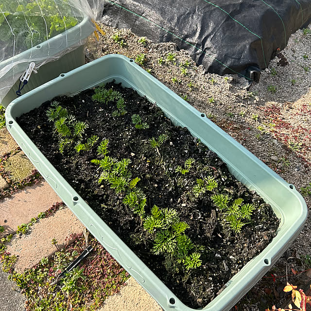 ritsukoさんの部屋