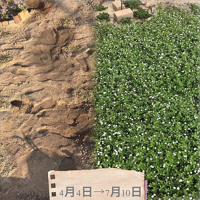 micoさんの実例写真