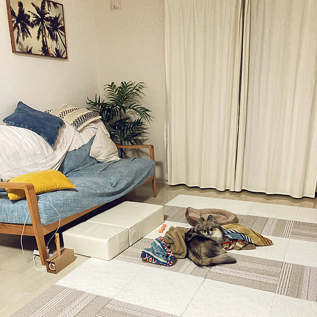 Pecoさんの実例写真