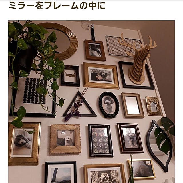 matthewさんの実例写真