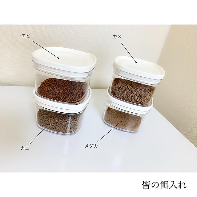 chaluさんの実例写真