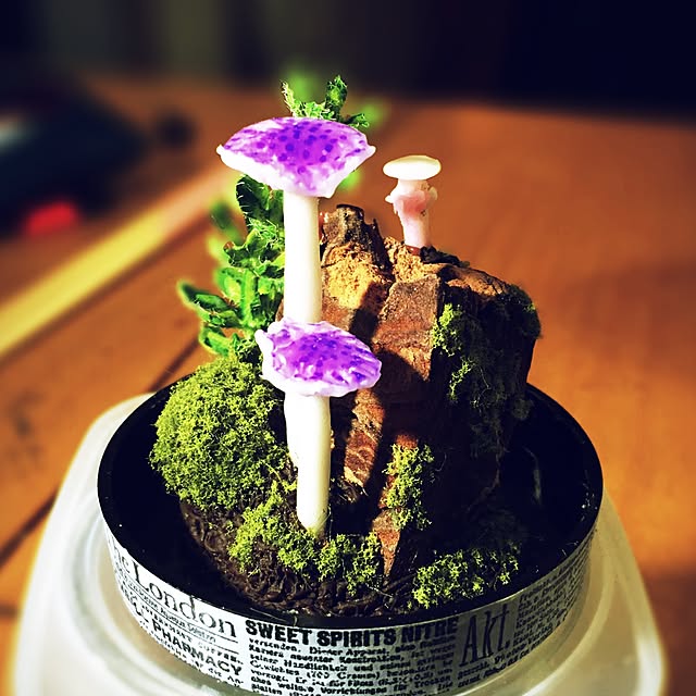 ramuchop3000さんの実例写真
