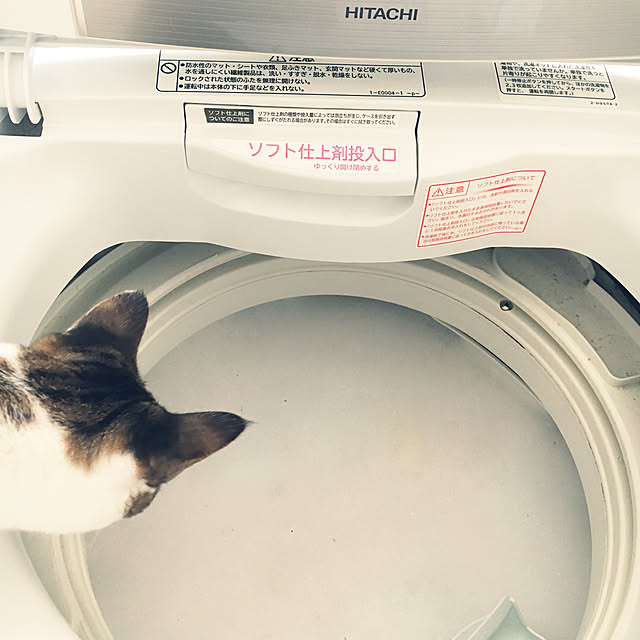 maririnさんの実例写真