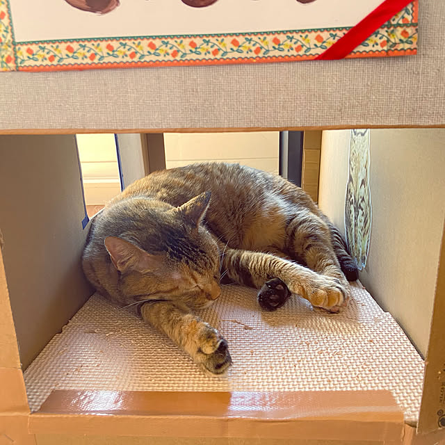 hansho.sさんの実例写真