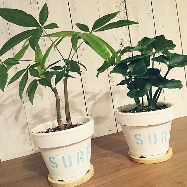 mykooさんの実例写真
