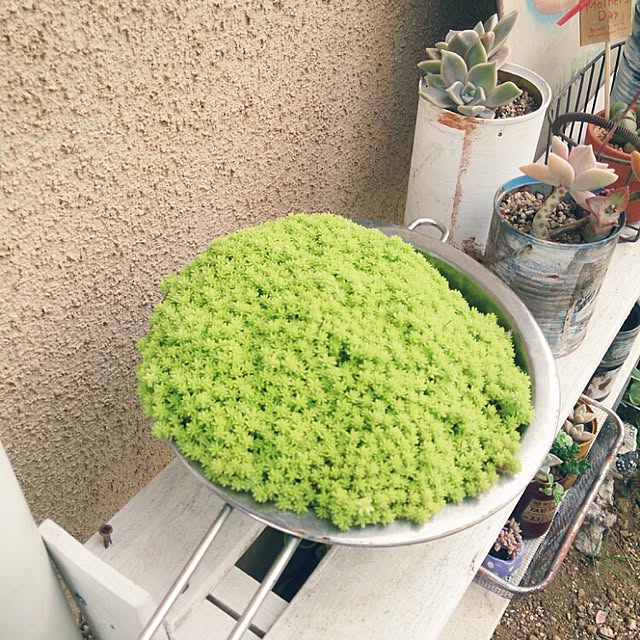 soraさんの実例写真