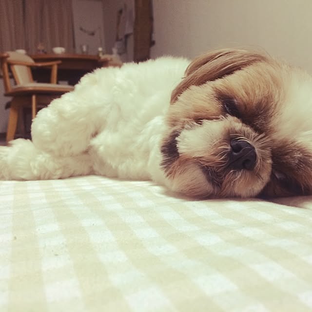 Rieさんの実例写真