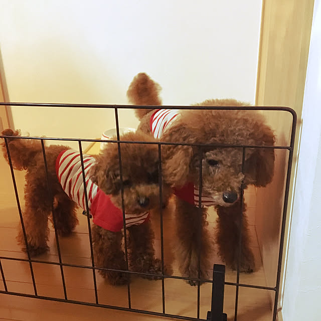45さんの実例写真