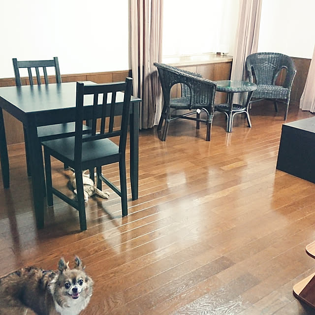 tsukushiさんの実例写真