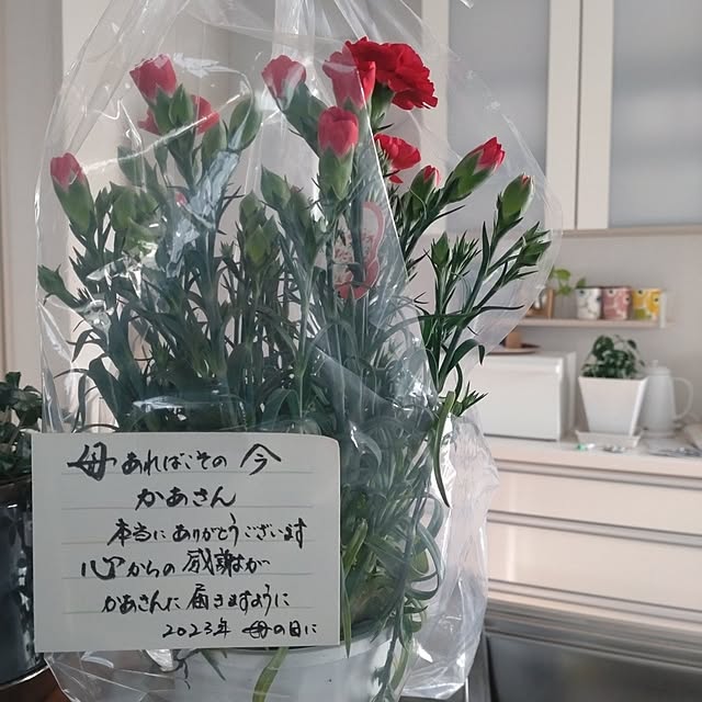 tan5さんの実例写真