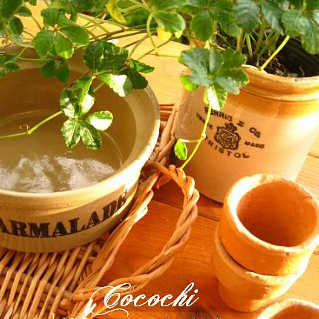 cocochiさんの実例写真
