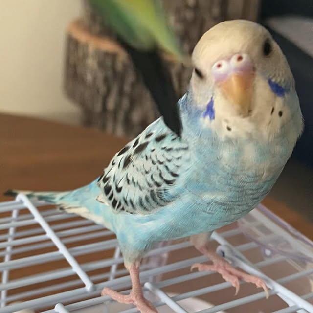ohanaさんの部屋