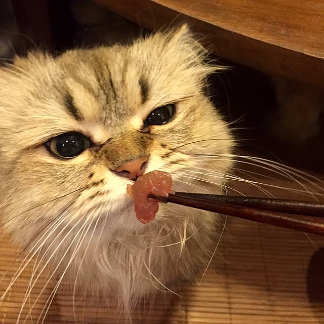 butachanさんの実例写真